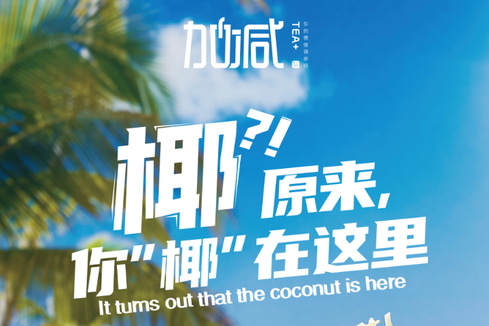 万利国际官网椰子系列新品火爆上市